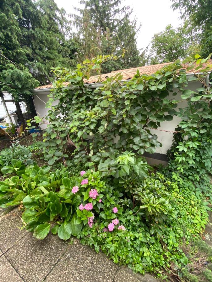 Bük B&B Chardas מראה חיצוני תמונה